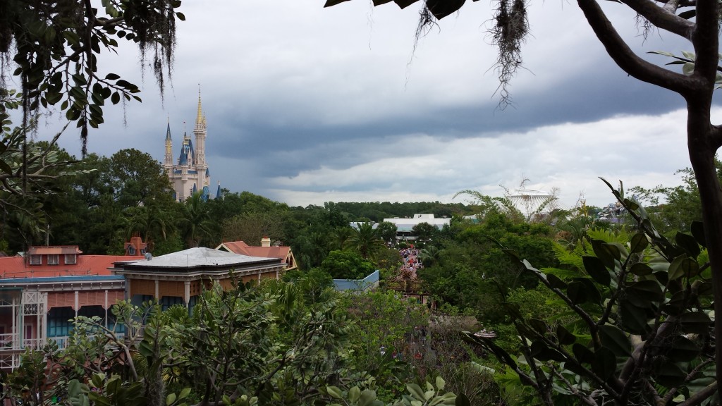 Magic Kingdom from the Swiss Family Robinson Tree House