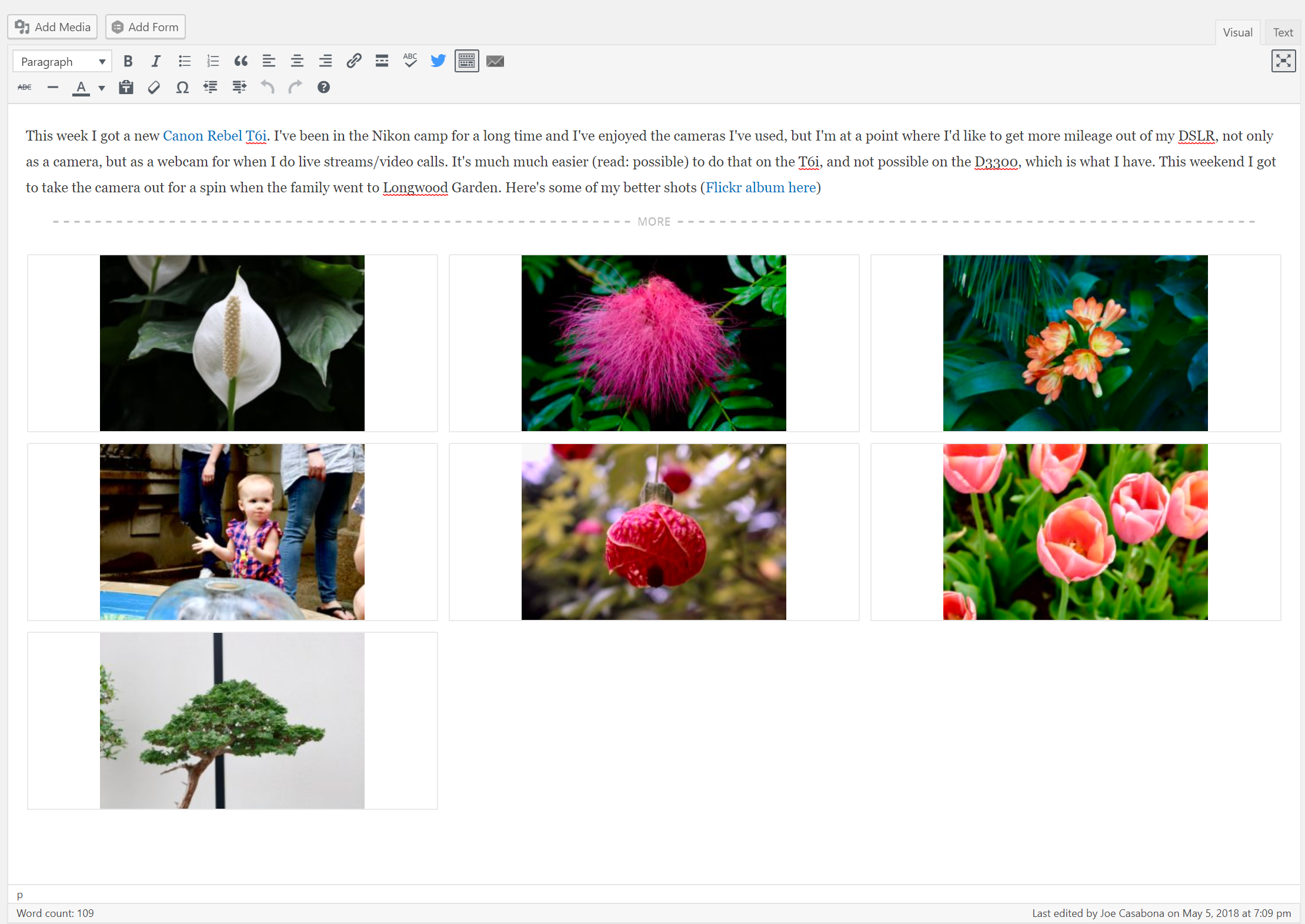 The WordPress Classic Editor